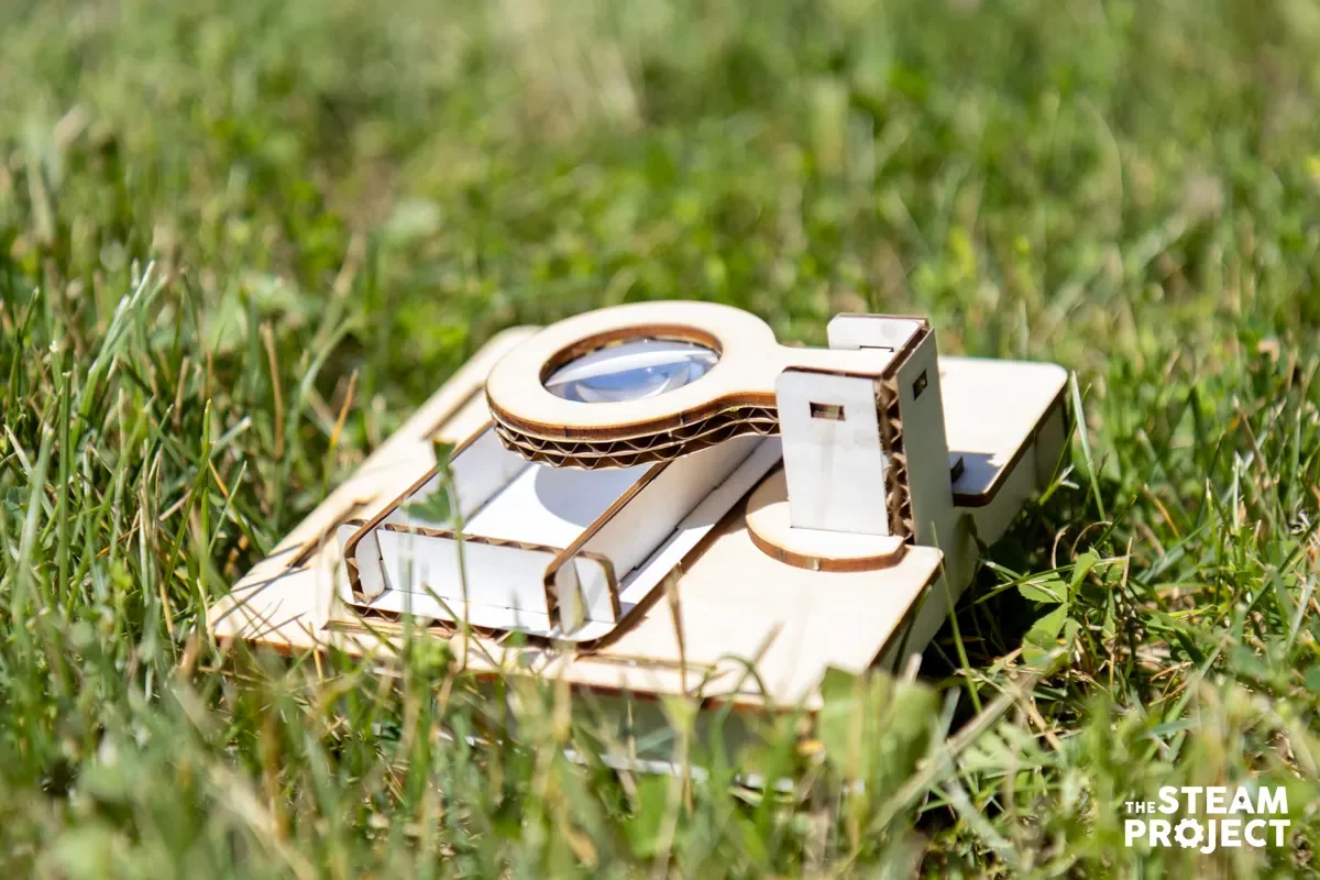 Magnifier (4)